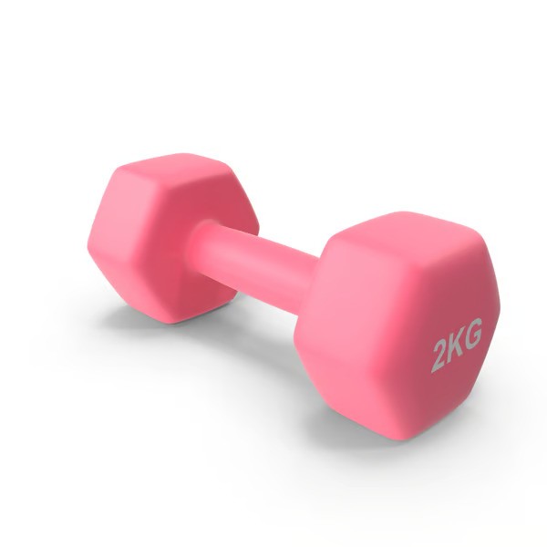 Dumbbell Barbel L17