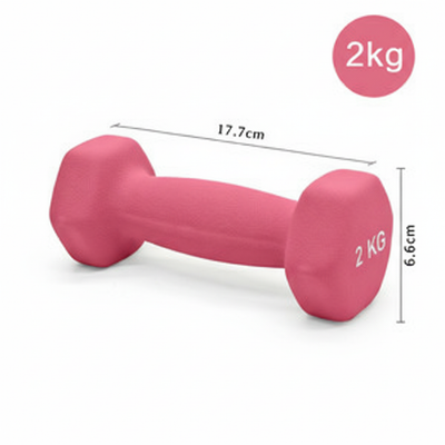 Dumbbell Barbel L17