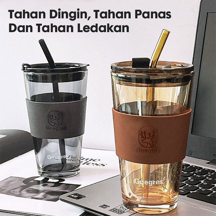 Hoptech - 450ml Heat-Resistant Glass Cup with Straw | Aesthetic Coffee Mug with Leather Case